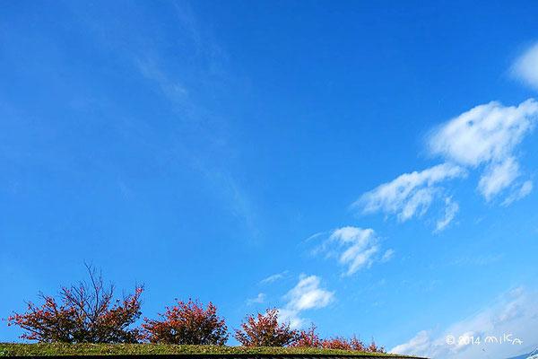 雲が飛ぶ