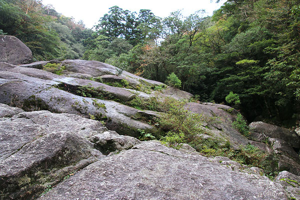 巨大な花崗岩