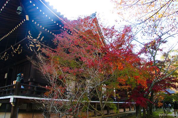 御影堂（みえどう）光明寺