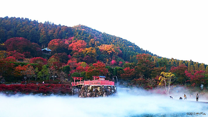 勝尾寺の紅葉