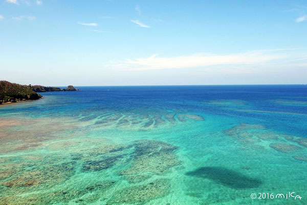 サンゴ礁の海