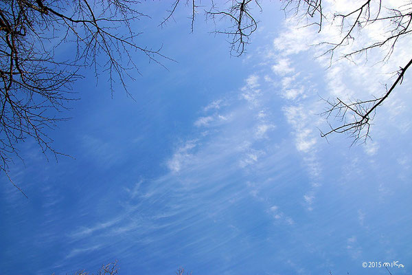 ２月のすじ雲