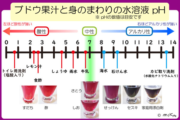 ブドウ果汁と身の回りの水溶液pH