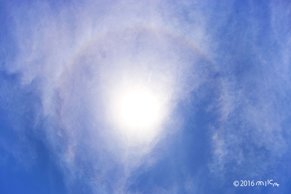 晴れ間に日暈（５月）