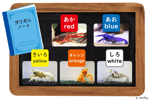 ザリガニ