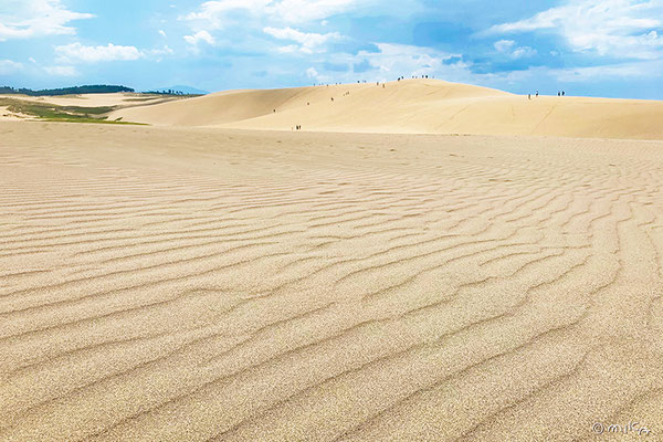 鳥取砂丘と浦富海岸(Tottori Sand Dunes & Uradome coast 鳥取砂丘と浦富海岸(Tottori Sand Dunes & Uradome coast