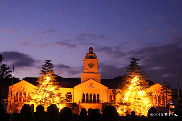 夕暮れの関西学院大学とクリスマスツリー