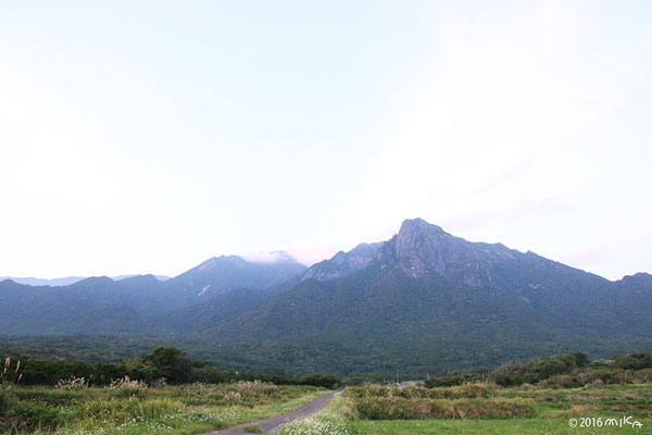 モッチョム岳（屋久島）