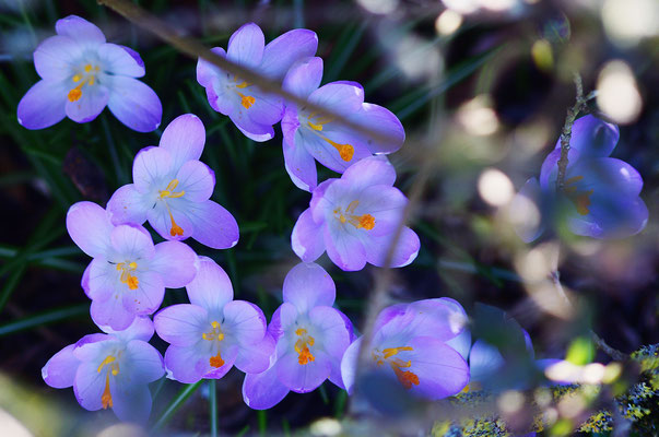 Foto: Sandra Borchers