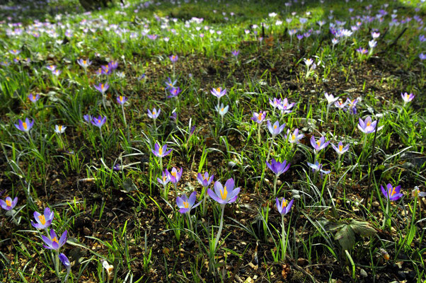 ...ein paar Tage später: mit Sonne! Foto: Sandra Borchers