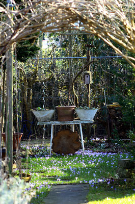 Gartenidylle. Foto: Sandra Borchers