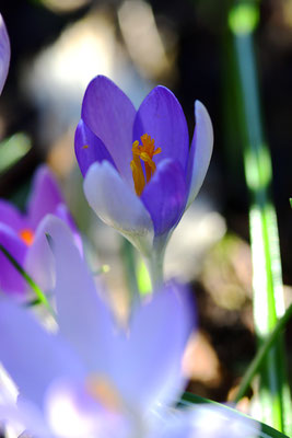 Foto: Sandra Borchers