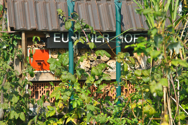 Hier sieht man, wie das Insektenhotel samt Florfliegenkasten vor dem Einzug der Wespen aussah. Foto: Sandra Borchers