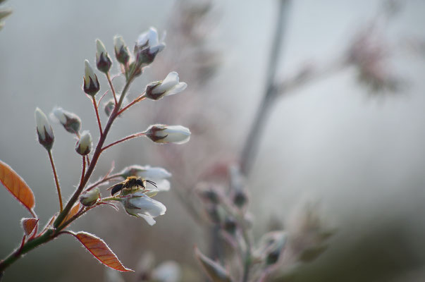 Foto: Sandra Borchers