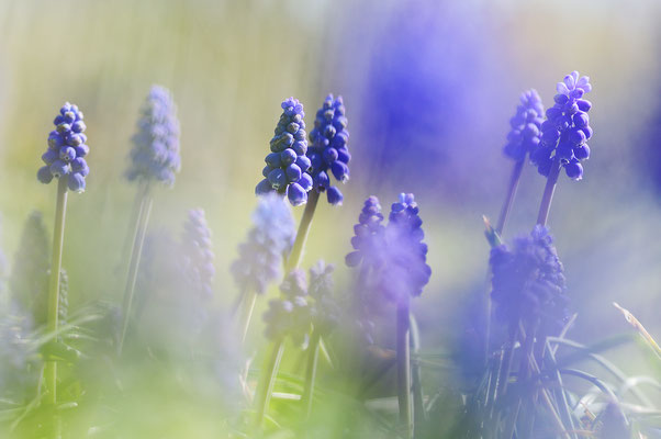 Foto: Sandra Borchers