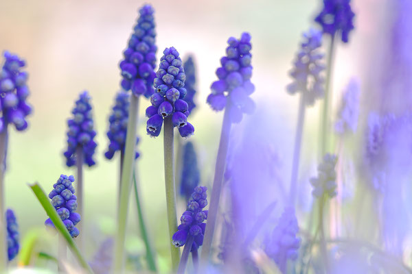 Foto: Sandra Borchers