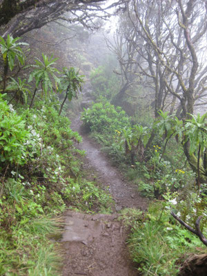 Spannender Trail durch das Zentralgebirge