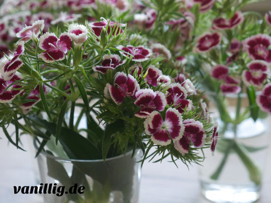 cupcake, Basisrezept für Cupcake, vanillig.de, Cupcake, Rezept, Basis Rezept für Cupcake, Muffin, Cupcake mit Beeren, Cupcake mit Füllung