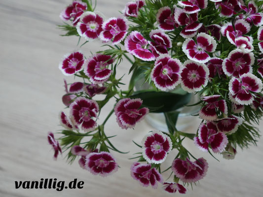 cupcake, Basisrezept für Cupcake, vanillig.de, Cupcake, Rezept, Basis Rezept für Cupcake, Muffin, Cupcake mit Beeren, Cupcake mit Füllung