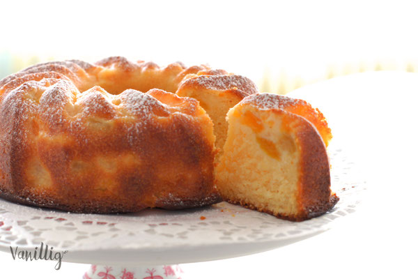 Einfacher Aprikosen Kuchen Schüttelkuchen