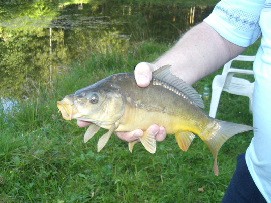Angeln im eigenen Weiher für unsere Gäste