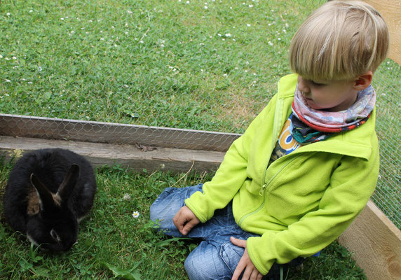 Hasen streicheln, so lange man will