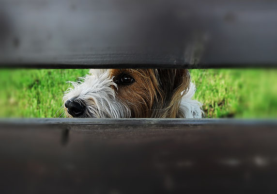 Fotografie in Ebersberg