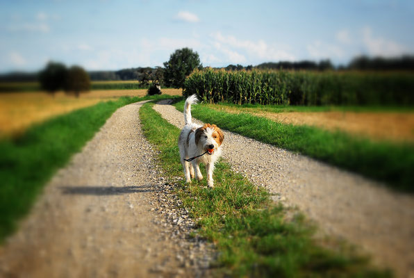 Fotografie in Ebersberg