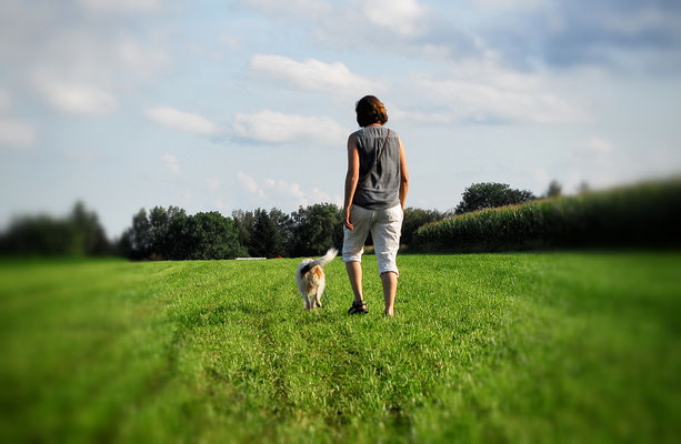 Hunde-Fotografie in Ebersberg