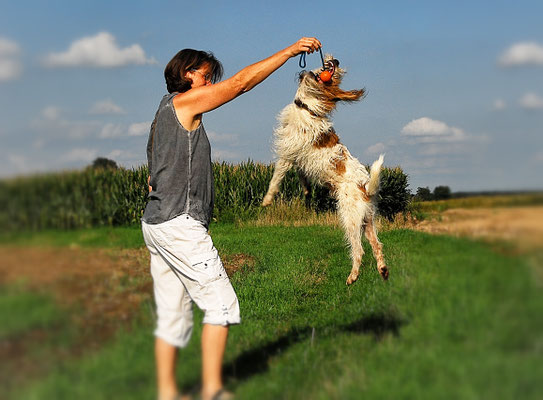 Hundefotografie in Ebersberg