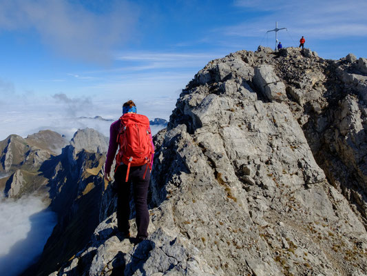 Ursina am Gipfelgrat auf den Altmann