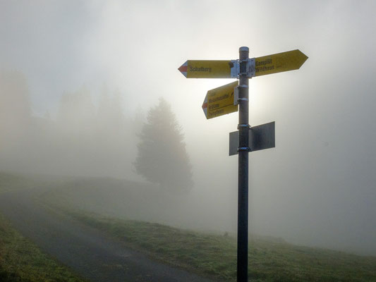 Der Weg ist das Ziel