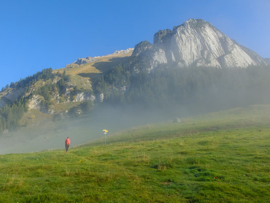 Ursina am Fuss des Schafbergs