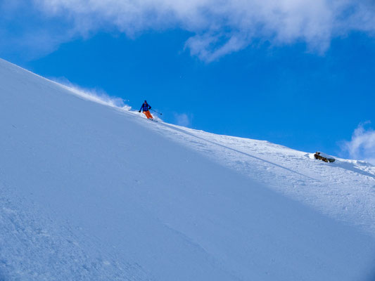 Powder in der Abfahrt