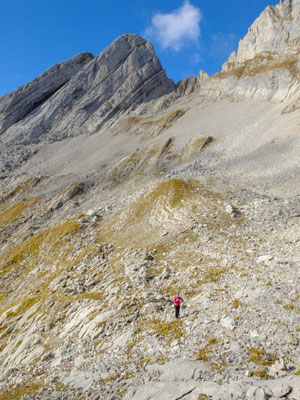 Ursina auf dem Weg zum Moor
