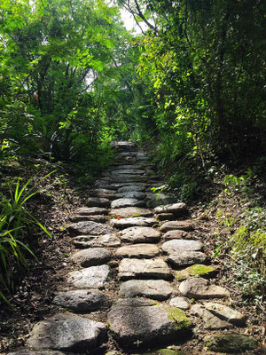 Tayrona Path - Reserva Biologica Caoba