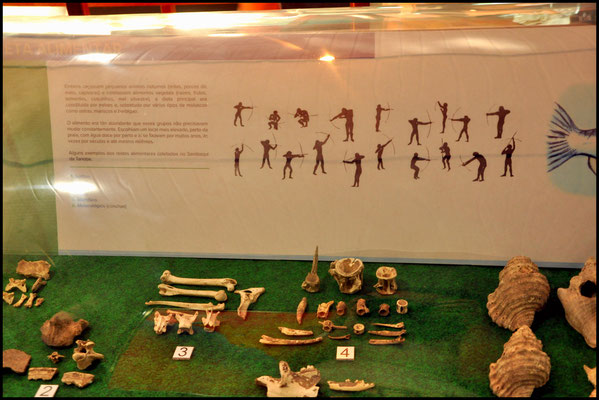 Visita al Museo Archeológico del sambaqui de Tarioba, Estado de Rio de Janeiro 