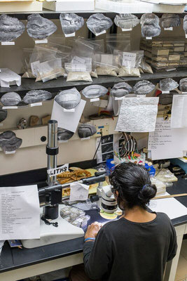 Estación de trabajo en el Laboratorio Marino de Naos, Ciudad de Panamá, Panamá