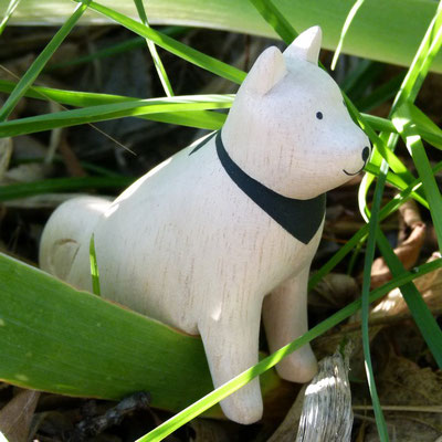Le chien Akita