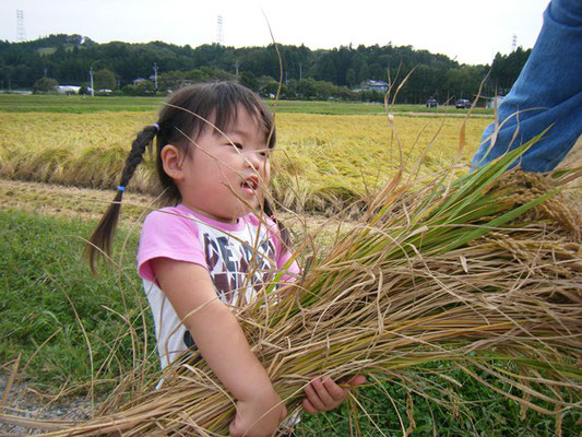 佳作「私もお手伝いするよ」