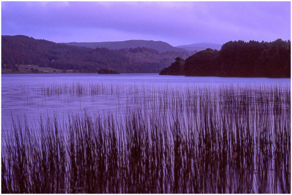 Dans le Donegal
