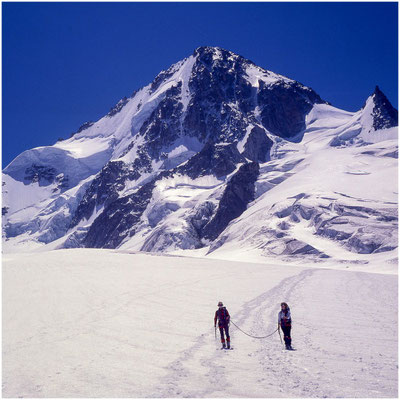 Retour du Chardonnet