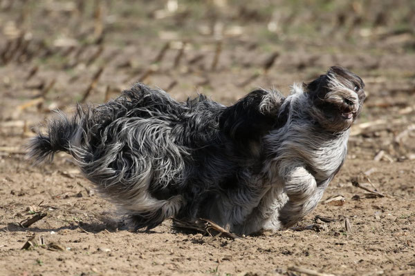 links Caatje, rechts Anna