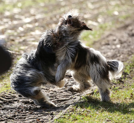 rechts Caatje, links Anna