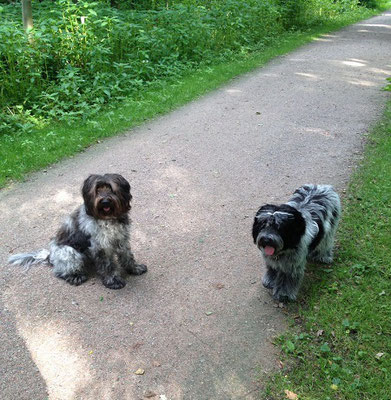 links Jolly, rechts Bea-Nala