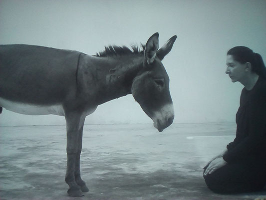 MARINA ABRAMOVIC, Confession 2010 (seen at Palazzo Strozzi, Florence, in the show «The Cleaner», 21st September 2018)