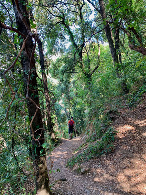 schöner Wanderweg