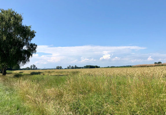 Gewitterwolken in der Ferne