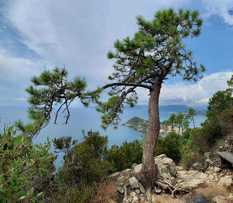 Sestri Levante kommt in den Blick