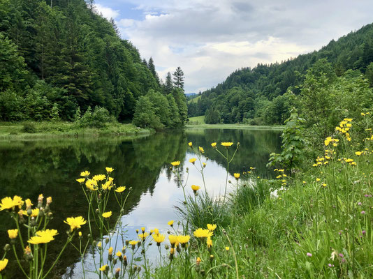 Wiesensee nahe Hochfilzen